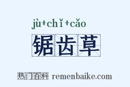 锯齿草是什么意思的图片